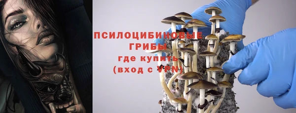 шишки Нея