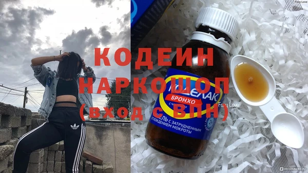 шишки Нея