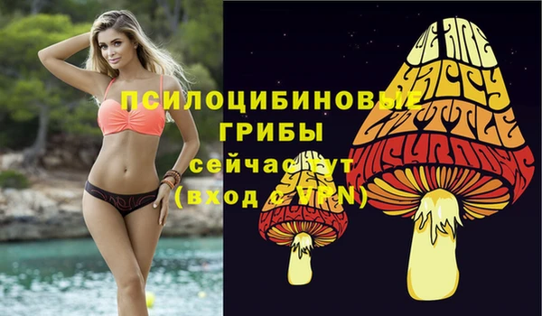 шишки Нея