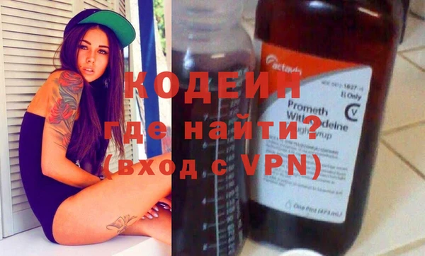 шишки Нея