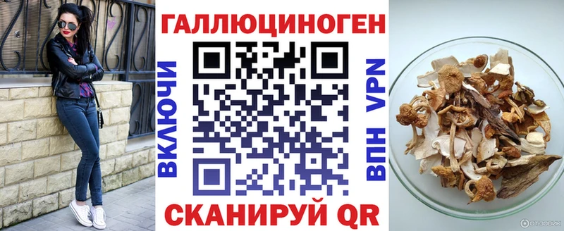Псилоцибиновые грибы Psilocybe  Сурск 